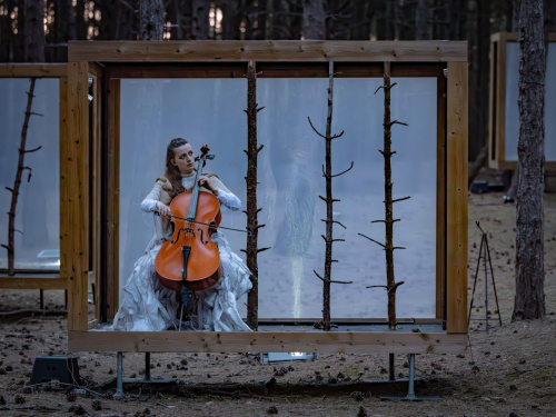 webversie - Ragazze_MemoriesofTrees(c)NichonGlerum-3.jpg