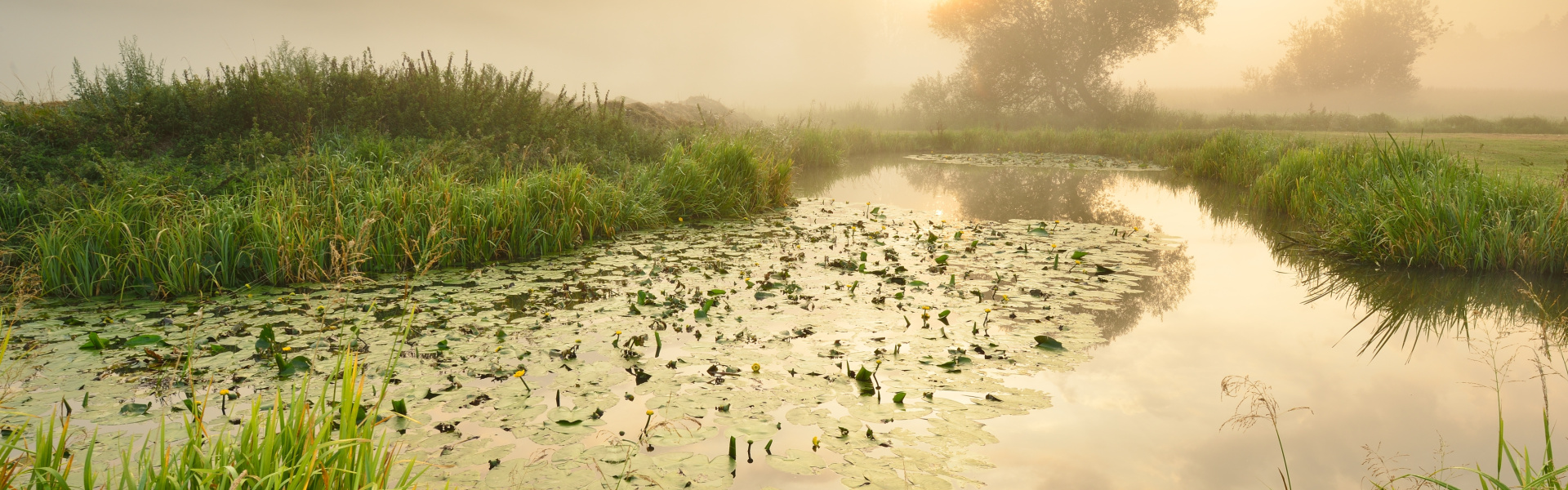 De Wijkende - onderSTROOM