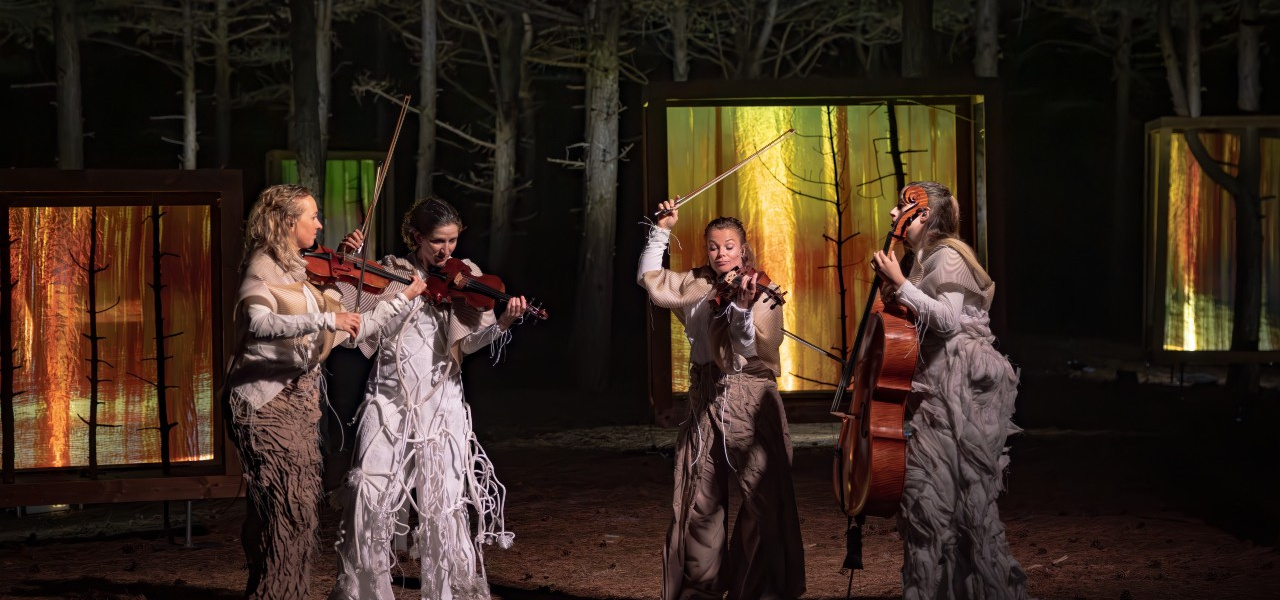 Ontmoeting van architectuur en klank