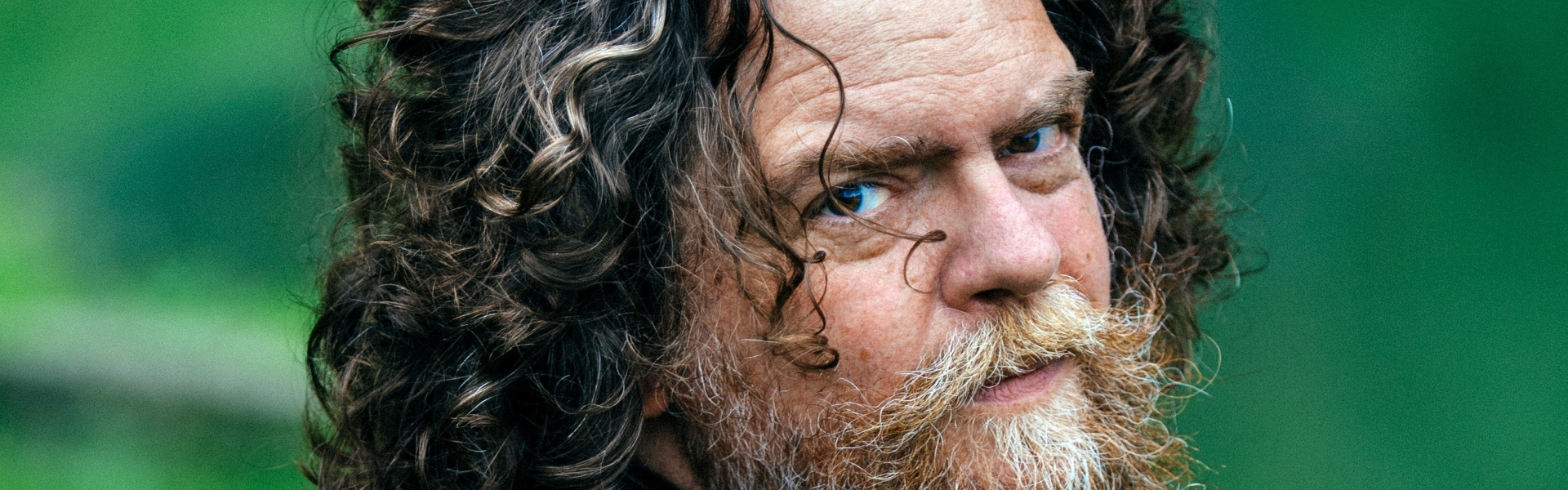 Het voorlaatste carnaval der dieren