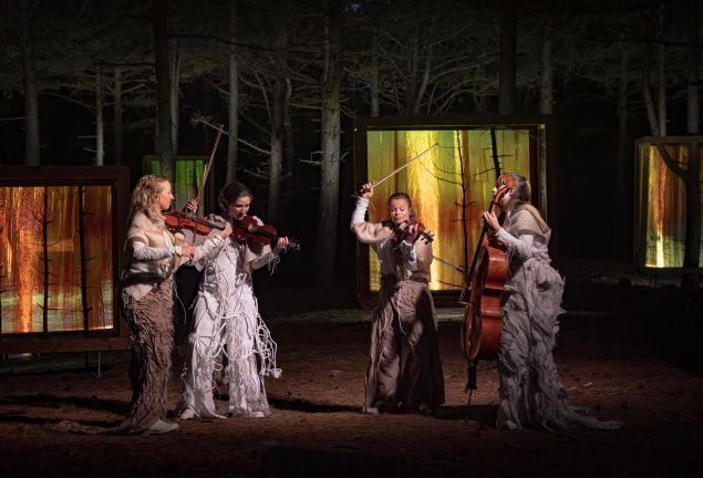 Double Bill: WALD x Memories of Trees