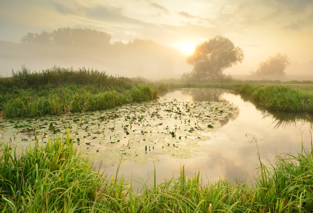 De Wijkende - onderSTROOM